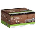 Feit Electric LED String Lights Clear 12 ft 10 lights SLM12-10/FIL